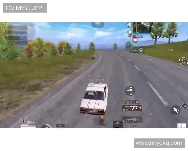 从零起步到高手之路：全面解析和平精英游戏技巧与策略