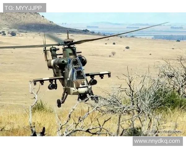 129阿特拉斯与美洲狮的精彩对决谁能在这场比赛中胜出